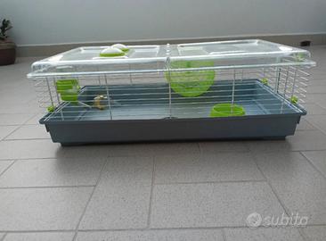 Gabbia criceto 