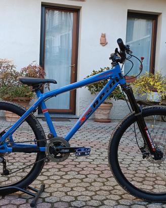 bicicletta MTB scapin dada da 4X