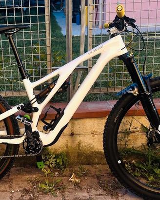 stumpjumper evo pro  s3 specialized ALL MOUNTAIN