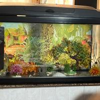 Acquario completo