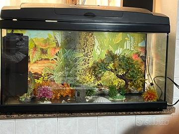 Acquario completo
