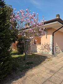 Bifamiliare tutta su un piano con giardino