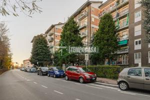 AMPIO BILOCALE CON BOX