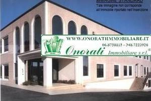 Terreno di 10000 m² a Monte Compatri