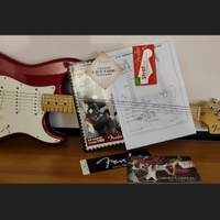 Fender American Strat USA 2012 PU Texas Special
