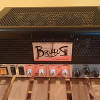 testata chitarra Cicognani Brutus Live 28w