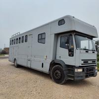 Van trasporto cavalli