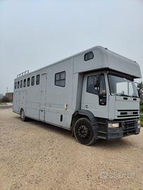 Van trasporto cavalli