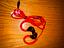 Immagine 2