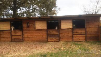 Casa singola con terreno e maneggio