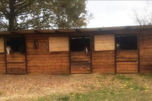 Casa singola con terreno e maneggio