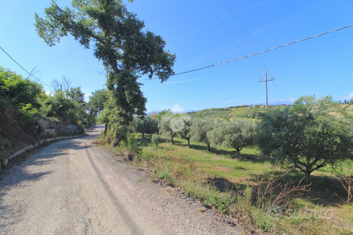 TER. AGRICOLO A MOSCIANO SANT'ANGELO - Vista 5
