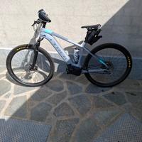 ebike