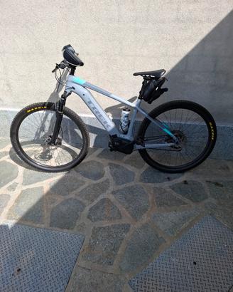 ebike