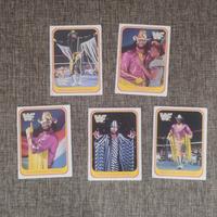 5 " Macho Man - Randy Savage"  Cards  WWF - Merlin
