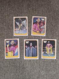 5 " Macho Man - Randy Savage"  Cards  WWF - Merlin