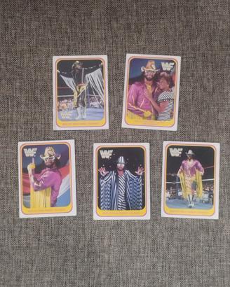 5 " Macho Man - Randy Savage"  Cards  WWF - Merlin