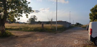 Terreno a San Pietro Vernotico (salento)