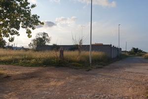 Terreno a San Pietro Vernotico (salento)