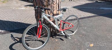 bici mtb biammorrtizzata