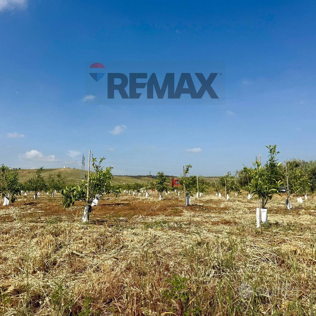 Terreno - Paternò - Altro
