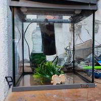 acquario completo