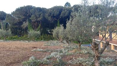 San Cesareo Terreno Agricolo Via Casilina