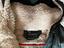 Immagine 4
