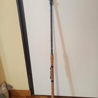 Canna da pesca DAIWA 