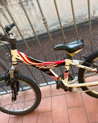 Bici bambino