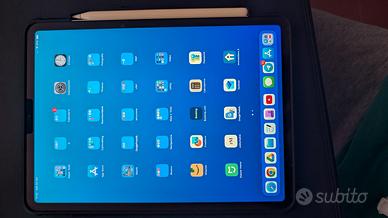 iPad Pro 11" 256GB Cellular (SIM) - 1ª Gen