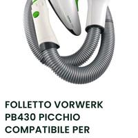 Picchio folletto