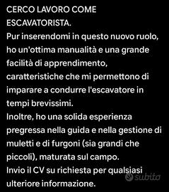 Escavatorista.