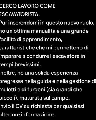 Escavatorista.