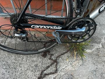 Bdc Cannondale c9