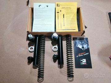 Hornet 600 kit forcelle Matris 