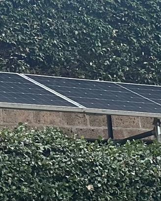 Pannelli fotovoltaici Longi