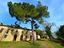 Immagine 7