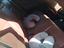 Immagine 4