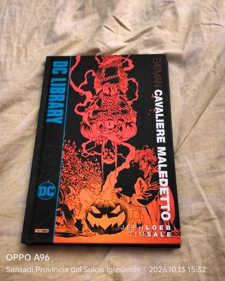 batman: cavaliere maledetto