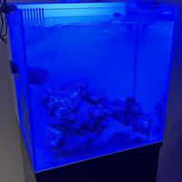 Aqpet cubik 40 64litri acquario marino e mobile