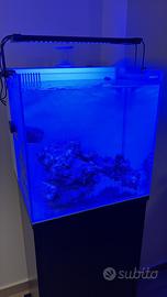 Aqpet cubik 40 64litri acquario marino e mobile