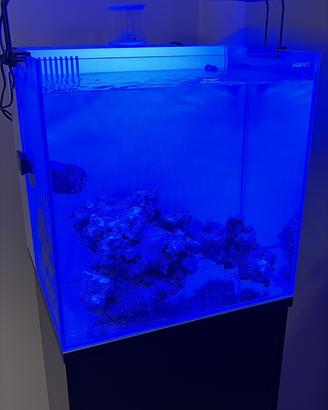 Aqpet cubik 40 64litri acquario marino e mobile