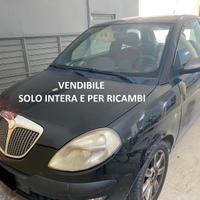 Lancia Ypsilon 1.2cc gpl (PRIVATO)-2011