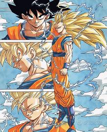 Dragonball Z Shin Budokai 2 PSP 🎮