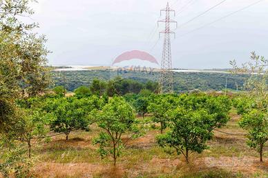 Terreno - Caltagirone