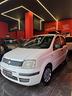 fiat-panda-1-2-dynamic-motore-nuovo-certificato