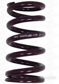 Molla ammortizzatore Reiger trial