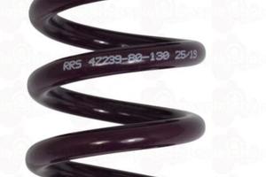 Molla ammortizzatore Reiger trial