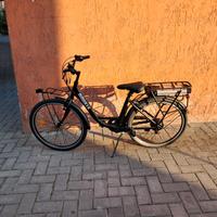 bicicletta elettrica